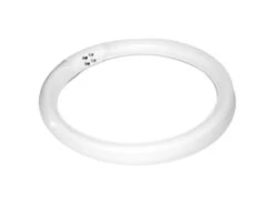 ACTIVESHOP Incandescent Lamp (fluorescent) 22w Magnifier Lamp S4(Incandescent Lamp Fluorescent 22w Magnifier Lamp S4)