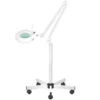 Magnifier Lamp S5 LED & Five-Arm Stand Tripod(Magnifier Lamp S5 Led Five Arm Stand Tripod) -Roxie Cosmetics Shop 115247