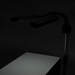 ACTIVESHOP LED Lamp For Eyelashes And Makeup Polluks Ii Type Msp-ld01(Led Lamp For Eyelashes And Makeup Polluks Ii Type Msp Ld01) -Roxie Cosmetics Shop 119060 19 22 2