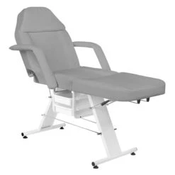 Salon Beauty Chair Basic 202 Grey(Salon Beauty Chair Basic 202 Grey) -Roxie Cosmetics Shop 123760 6 2212