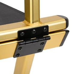 ActiveShop Make-up Chair Aluminum Gold(Make Up Chair Aluminum Gold) -Roxie Cosmetics Shop 123776 04 1410