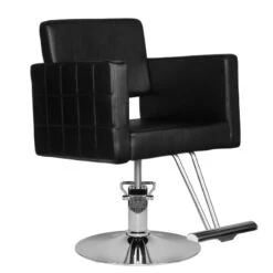 Hair System Hairdressing Chair Hs33 Black(Hair System Hairdressing Chair Hs33 Black)