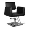 Hair System Hairdressing Chair Sm313 Black(Hair System Hairdressing Chair Sm313 Black)