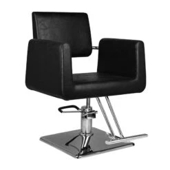 Hair System Hairdressing Chair Sm313 Black(Hair System Hairdressing Chair Sm313 Black)