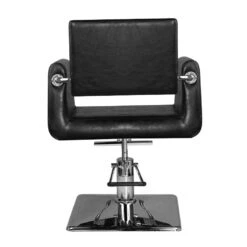 Hair System Hairdressing Chair Sm313 Black(Hair System Hairdressing Chair Sm313 Black) -Roxie Cosmetics Shop 129883 3