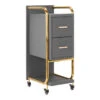 GABBIANO HAIRDRESSER TROLLEY SOLO GOLD GRAY(Gabbiano Hairdresser Trolley Solo Gold Gray) -Roxie Cosmetics Shop 135396 01 1901