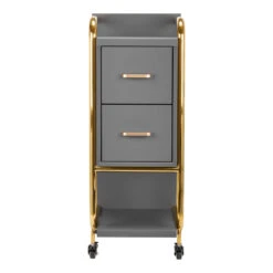 GABBIANO HAIRDRESSER TROLLEY SOLO GOLD GRAY(Gabbiano Hairdresser Trolley Solo Gold Gray) -Roxie Cosmetics Shop 135396 03 1901