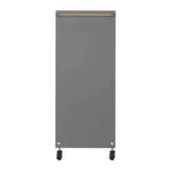GABBIANO HAIRDRESSER TROLLEY SOLO GOLD GRAY(Gabbiano Hairdresser Trolley Solo Gold Gray) -Roxie Cosmetics Shop 135396 05 1901