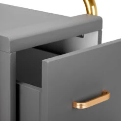 GABBIANO HAIRDRESSER TROLLEY SOLO GOLD GRAY(Gabbiano Hairdresser Trolley Solo Gold Gray) -Roxie Cosmetics Shop 135396 06 1901