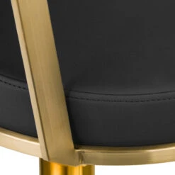 Gabbiano Hairdressing Chair Arras Black Gold(Gabbiano Hairdressing Chair Arras Black Gold) -Roxie Cosmetics Shop 136679 5 0401