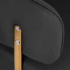 GABBIANO HAIRDRESSING CHAIR LINZ GOLD BLACK(Gabbiano Hairdressing Chair Linz Gold Black) -Roxie Cosmetics Shop 137087 5 0912