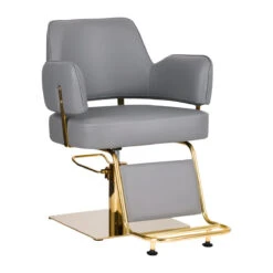 Gabbiano Hairdressing Chair Linz Gold Grey(Gabbiano Hairdressing Chair Linz Gold Grey)
