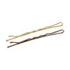 ACTIVESHOP HAIRDRESSING PINS FOR HAIR E-64 50 PCS 6 CM GOLD BROWN MIX(Hairdressing Pins For Hair E 64 50 Pcs 6 Cm Gold Brown Mix) -Roxie Cosmetics Shop 137385 01 1807