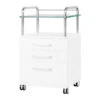 Podiatry Beauty Trolley 6053 White(Podiatry Beauty Trolley 6053 White) -Roxie Cosmetics Shop 138012 1 1611