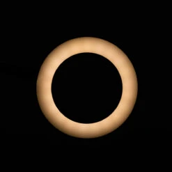 ACTIVESHOP SNAKE RING LED LAMP LAMP ON A DESK BLACK(Snake Ring Led Lamp Lamp On A Desk Black) -Roxie Cosmetics Shop 138394 5 0401