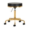 ActiveShop Cosmetic Stool H4 Black & Gold(Activeshop Cosmetic Stool H4 Black Gold) -Roxie Cosmetics Shop 140257 01 2006