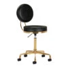 ActiveShop Cosmetic Chair H5 Black Gold(Activeshop Cosmetic Chair H5 Black Gold) -Roxie Cosmetics Shop 140259 01 2006