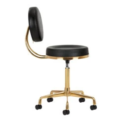 ActiveShop Cosmetic Chair H5 Black Gold(Activeshop Cosmetic Chair H5 Black Gold) -Roxie Cosmetics Shop 140259 04 2006