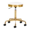 ActiveShop H7 Cosmetic Stool Golden White(Activeshop H7 Cosmetic Stool Golden White) -Roxie Cosmetics Shop 140262 01 2006