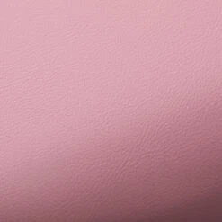 ACTIVESHOP MANICURE STAND 6M GOLDEN PINK(Manicure Stand 6m Golden Pink) 9 ACTIVESHOP MANICURE STAND 6M GOLDEN PINK(Manicure Stand 6m Golden Pink) -Roxie Cosmetics Shop 141219 04 2110