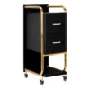 Gabbiano Hairdressing Trolley Assistant Solo Gold – Black(Gabbiano Hairdressing Trolley Assistant Solo Gold Black)