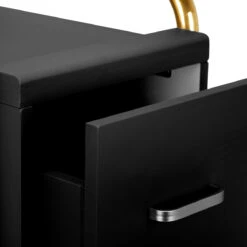 Gabbiano Hairdressing Trolley Assistant Solo Gold – Black(Gabbiano Hairdressing Trolley Assistant Solo Gold Black) -Roxie Cosmetics Shop 141233 06 0811
