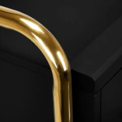 Gabbiano Hairdressing Trolley Assistant Solo Gold – Black(Gabbiano Hairdressing Trolley Assistant Solo Gold Black) -Roxie Cosmetics Shop 141233 07 0811