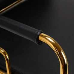 Gabbiano Hair Wash Unit Prato Gold & Black(Gabbiano Hair Wash Unit Prato Gold Black) 20 Gabbiano Hair Wash Unit Prato Gold & Black(Gabbiano Hair Wash Unit Prato Gold Black) -Roxie Cosmetics Shop 142892 05 3108