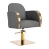 Gabbiano Hairdressing Chair Malaga Gold Grey(Gabbiano Hairdressing Chair Malaga Gold Grey)