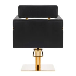 Gabbiano Hairdressing Chair Toledo Gold Black(Gabbiano Hairdressing Chair Toledo Gold Black) -Roxie Cosmetics Shop 146708 04 2601