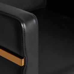 Gabbiano Hairdressing Chair Toledo Gold Black(Gabbiano Hairdressing Chair Toledo Gold Black) -Roxie Cosmetics Shop 146708 05 2601