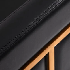 Gabbiano Hairdressing Chair Toledo Gold Black(Gabbiano Hairdressing Chair Toledo Gold Black) -Roxie Cosmetics Shop 146708 06 2601