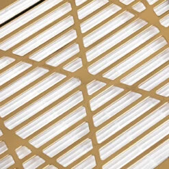 Momo J-23 Gold Cassette Dust Absorber(Momo J 23 Gold Cassette Dust Absorber) -Roxie Cosmetics Shop 147129 05 1905