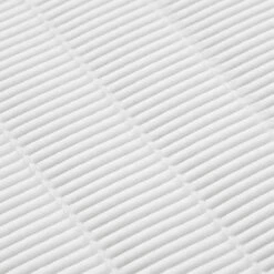 Momo J-23 Gold Cassette Dust Absorber(Momo J 23 Gold Cassette Dust Absorber) -Roxie Cosmetics Shop 147129 07 1905