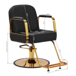 Gabbiano Hairdressing Chair Acri Gold & Black(Gabbiano Hairdressing Chair Acri Gold Black) -Roxie Cosmetics Shop 147319 09 1112