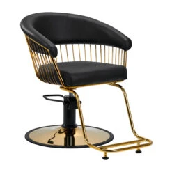 Gabbiano Hairdressing Chair Lille-M Gold Black(Gabbiano Hairdressing Chair Lille M Gold Black)