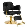 Hair System Hairdressing Chair Linz Gold Black(Hair System Hairdressing Chair Linz Gold Black)