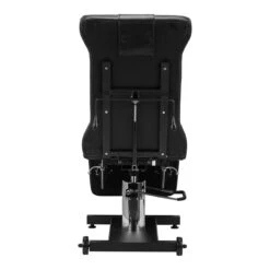 Pro Ink 611 Tattoo Chair Black(Pro Ink 611 Tattoo Chair Black) -Roxie Cosmetics Shop 147806 09 0201