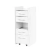 ActiveShop Mini Cabinet For Beauty Salon 969 White(Activeshop Mini Cabinet For Beauty Salon 969 White) -Roxie Cosmetics Shop 147821 01 0610