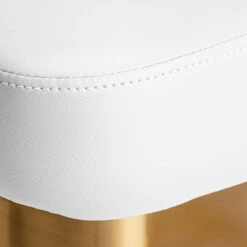 Gabbiano Hairdressing Chair Granda Gold & White(Gabbiano Hairdressing Chair Granda Gold White) 12 Gabbiano Hairdressing Chair Granda Gold & White(Gabbiano Hairdressing Chair Granda Gold White) -Roxie Cosmetics Shop 147879 07 1909