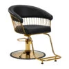 Hair System Hairdressing Chair Lile Gold Black(Hair System Hairdressing Chair Lile Gold Black)