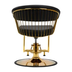 Hair System Hairdressing Chair Lile Gold Black(Hair System Hairdressing Chair Lile Gold Black) -Roxie Cosmetics Shop 147955 04 2604