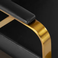 Gabbiano Hairdressing Chair Genua Gold Black(Gabbiano Hairdressing Chair Genua Gold Black) -Roxie Cosmetics Shop 148036 05 1904