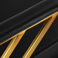 Gabbiano Hairdressing Chair Genua Gold Black(Gabbiano Hairdressing Chair Genua Gold Black) -Roxie Cosmetics Shop 148036 07 1904