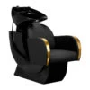 Gabbiano Hairdressing Wash Unit Malaga Gold & Black(Gabbiano Hairdressing Wash Unit Malaga Gold Black)