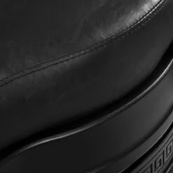 Gabbiano Barber Chair President Black(Gabbiano Barber Chair President Black) -Roxie Cosmetics Shop 148103 07 0801