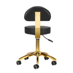 ActiveShop Cosmetic Stool AM-304G Black(Activeshop Cosmetic Stool Am 304g Black) -Roxie Cosmetics Shop 148165 04 0811