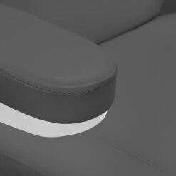 Sillon Electric Cosmetic Chair Classic 2 Motors Pedicure Gray(Sillon Electric Cosmetic Chair Classic 2 Motors Pedicure Gray) -Roxie Cosmetics Shop 148289 13 0611