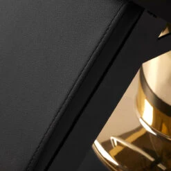 Gabbiano Barber Chair Marcus Gold(Gabbiano Barber Chair Marcus Gold) -Roxie Cosmetics Shop 148417 12 2401