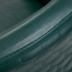 Gabbiano Hairdressing Chair Wersal Gold Bottle Green(Gabbiano Hairdressing Chair Wersal Gold Bottle Green) -Roxie Cosmetics Shop 148442 07 2501